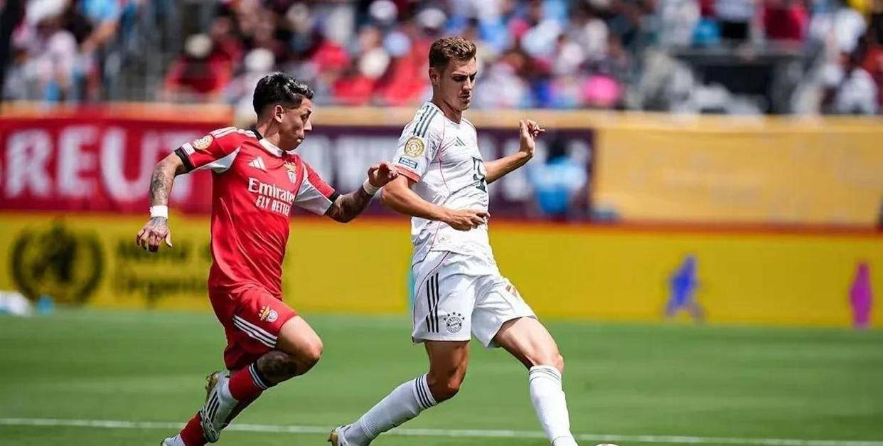 今晨意甲传出新动向，本菲卡篮板制胜，管理层表态：信心回归，团队化学反应显著的简单介绍-九游体育